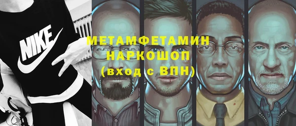 стаф Тайга