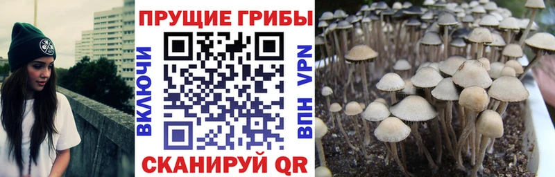 Галлюциногенные грибы ЛСД  Красноуфимск 